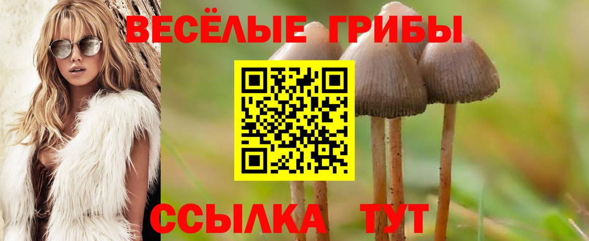 Псилоцибиновые грибы Magic Shrooms Ростов Великий